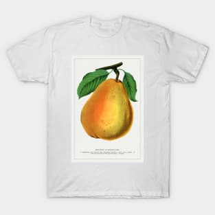 Duchess D'Angouleme pear lithograph (1900) T-Shirt